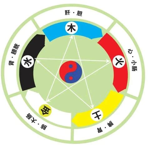 五行人格